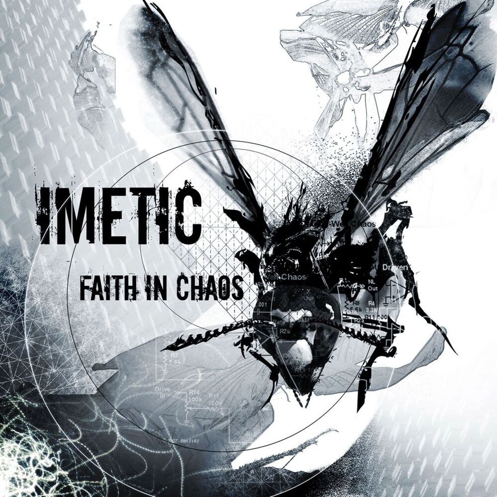 Picture of Faith in Chaos