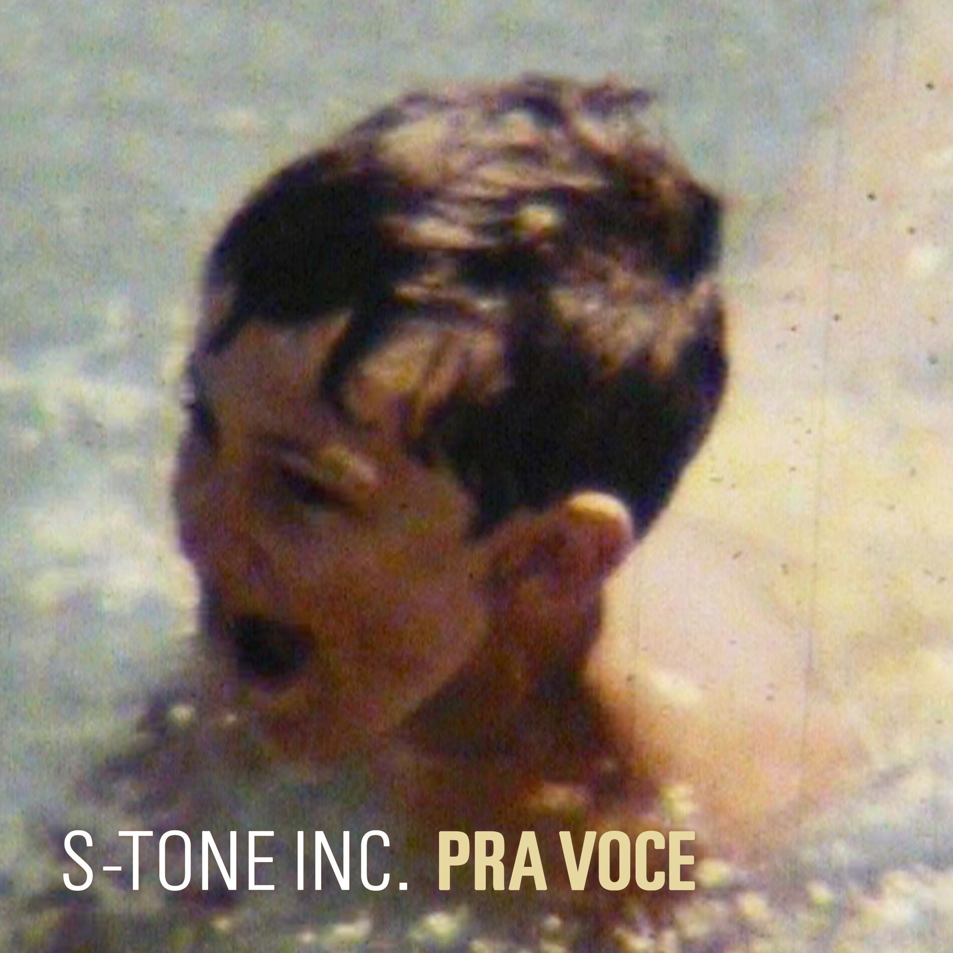 Album cover of Pra Voce
