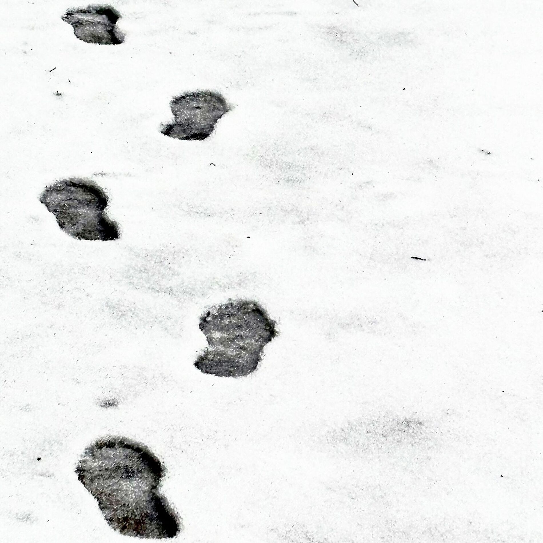 Album cover of 33°