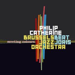 Cover of Meeting Colours