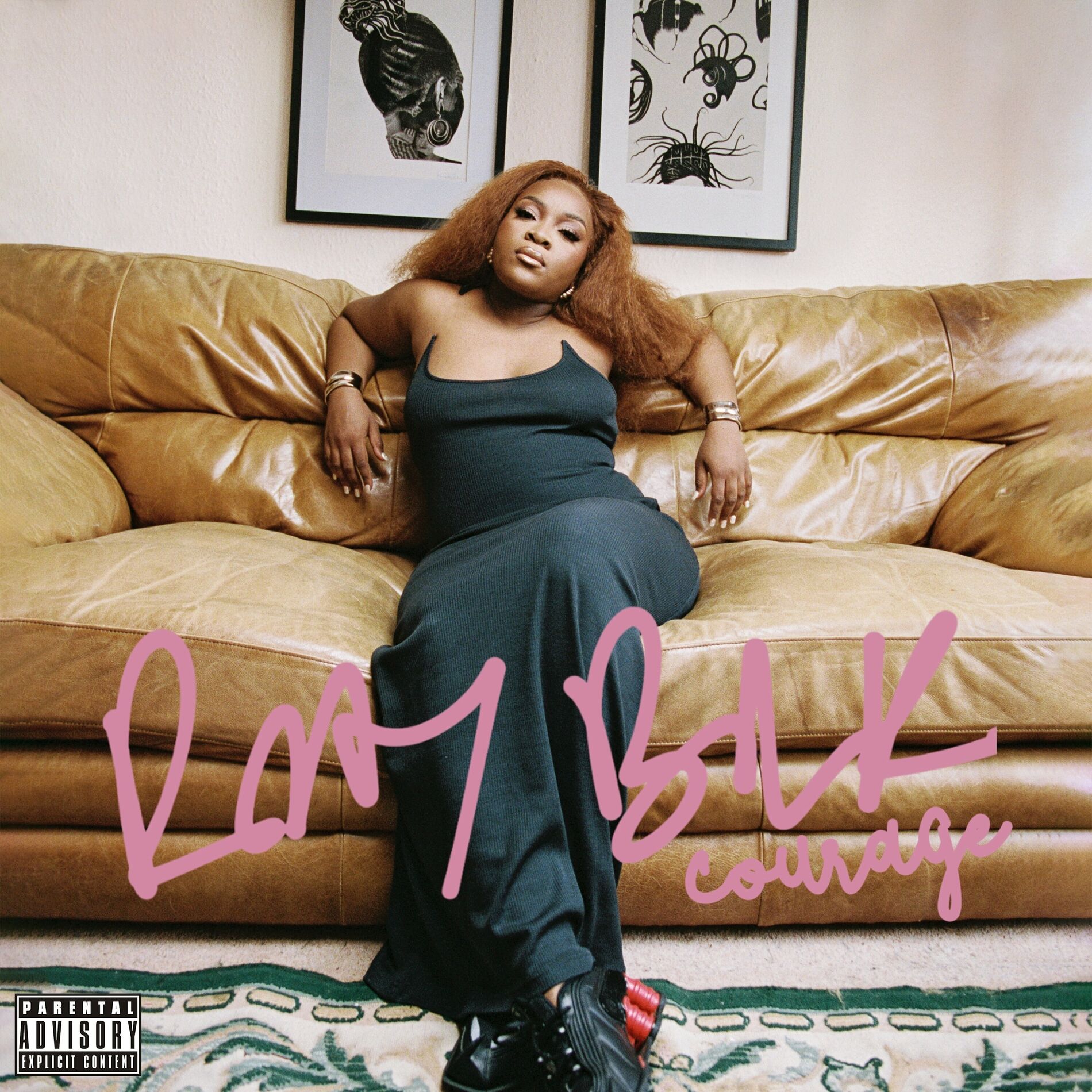 Album cover of Courage
