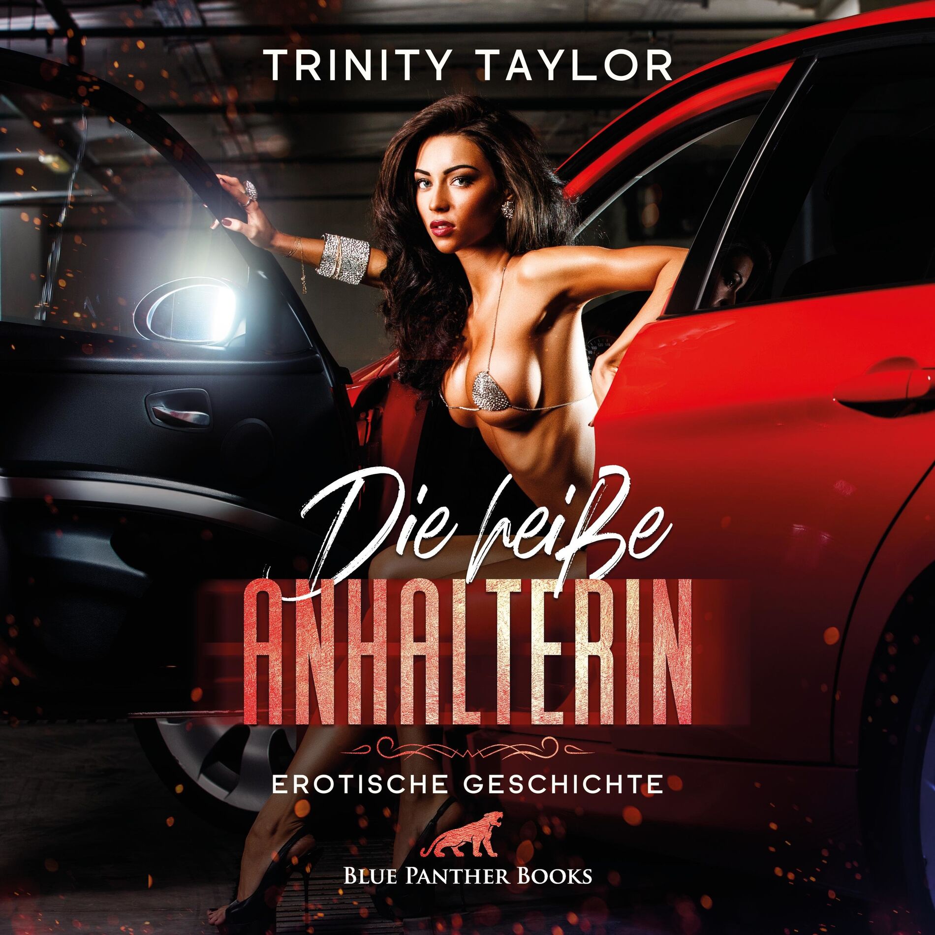 Album cover of Die heiße Anhalterin / Es wird höchste Zeit, die nächste Raststätte anzusteuern … (ein erotisches Hörbuch von blue panther books mit Sex, Leidenschaft, Erotik, Lust, Hörspiel)