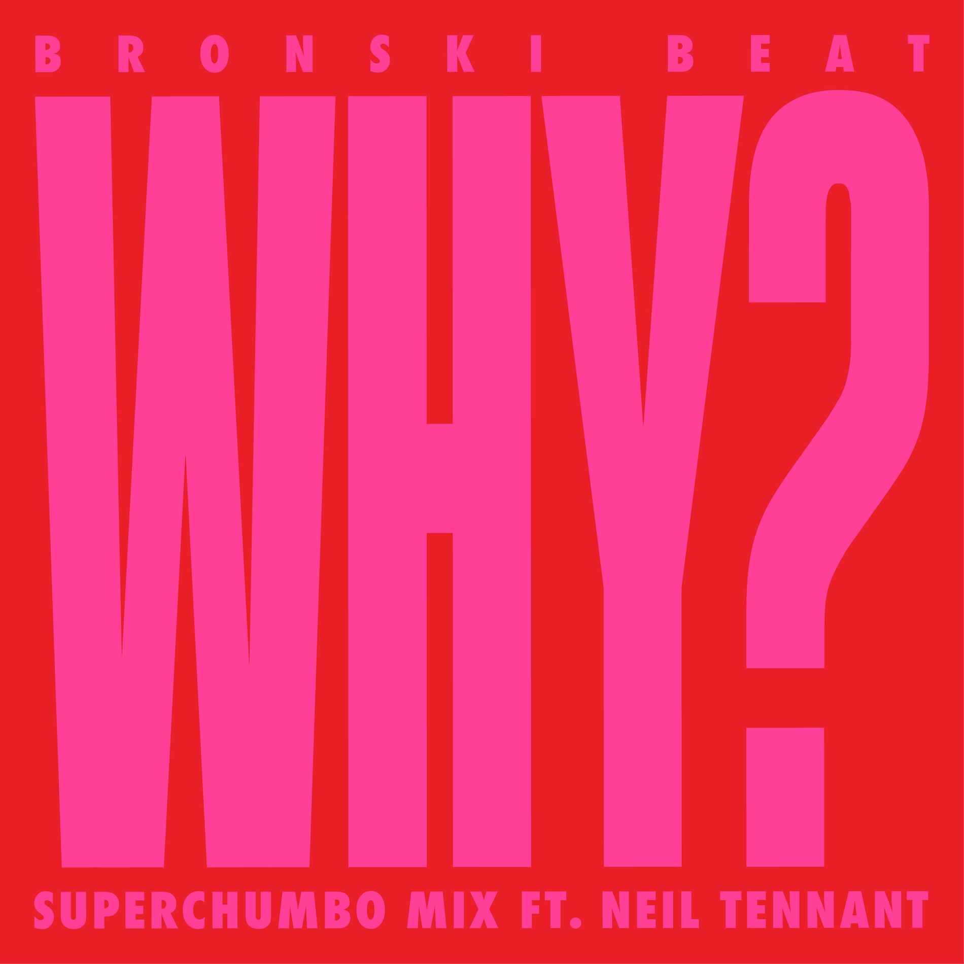 Album cover of Why? (feat. Neil Tennant) (Superchumbo Mix)