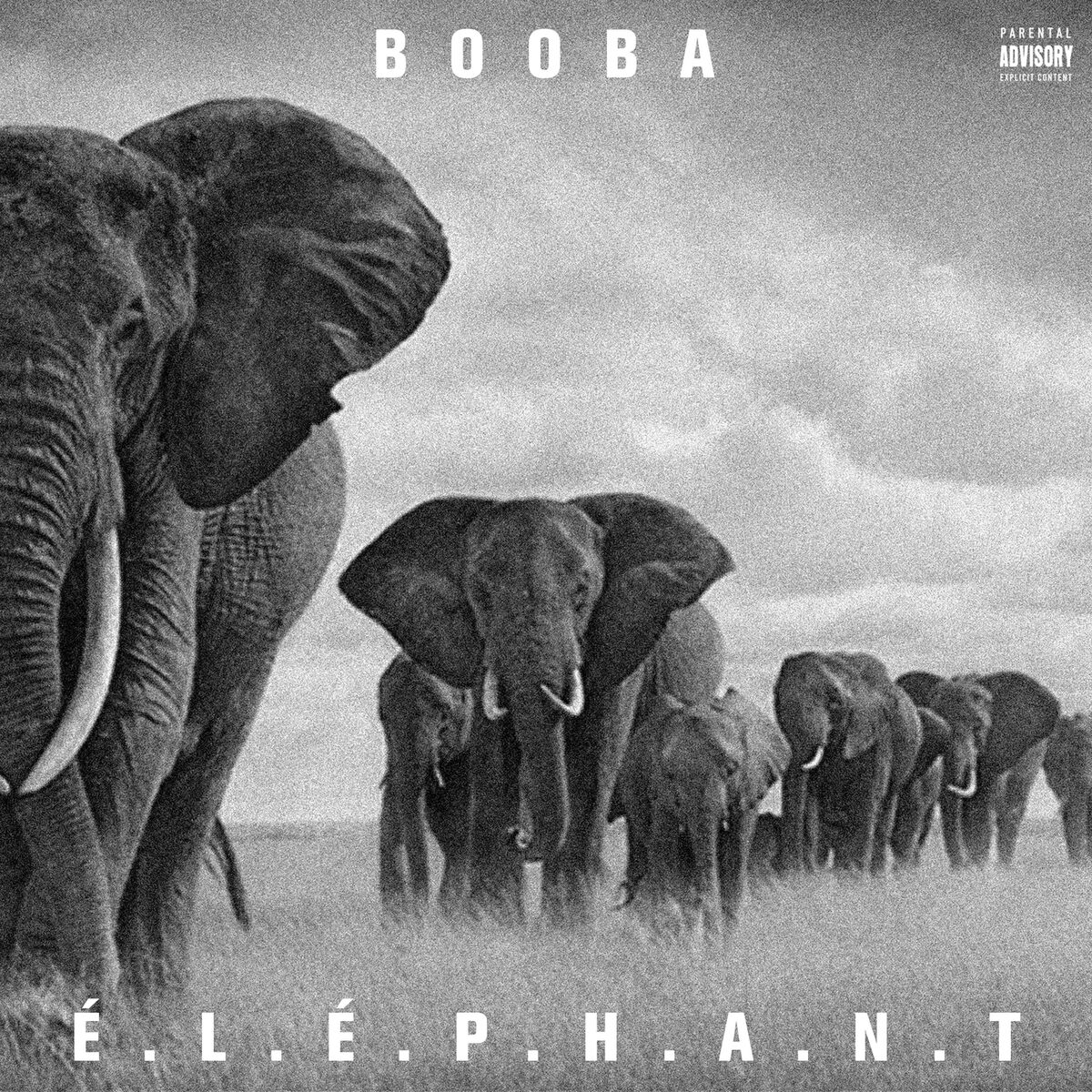 Album cover of E.L.E.P.H.A.N.T