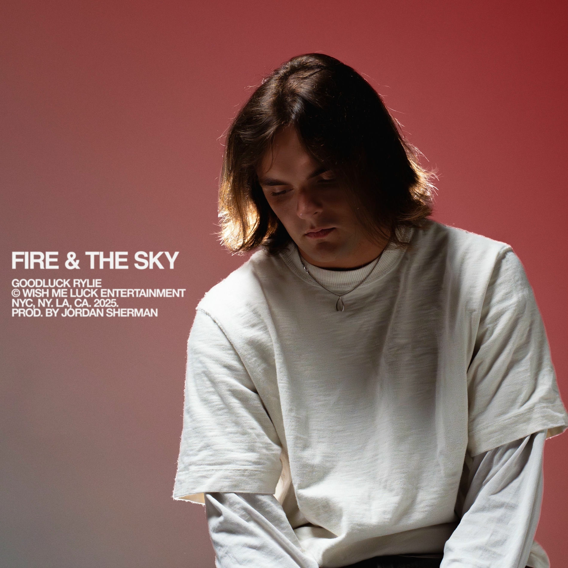Album cover of Fire & The Sky