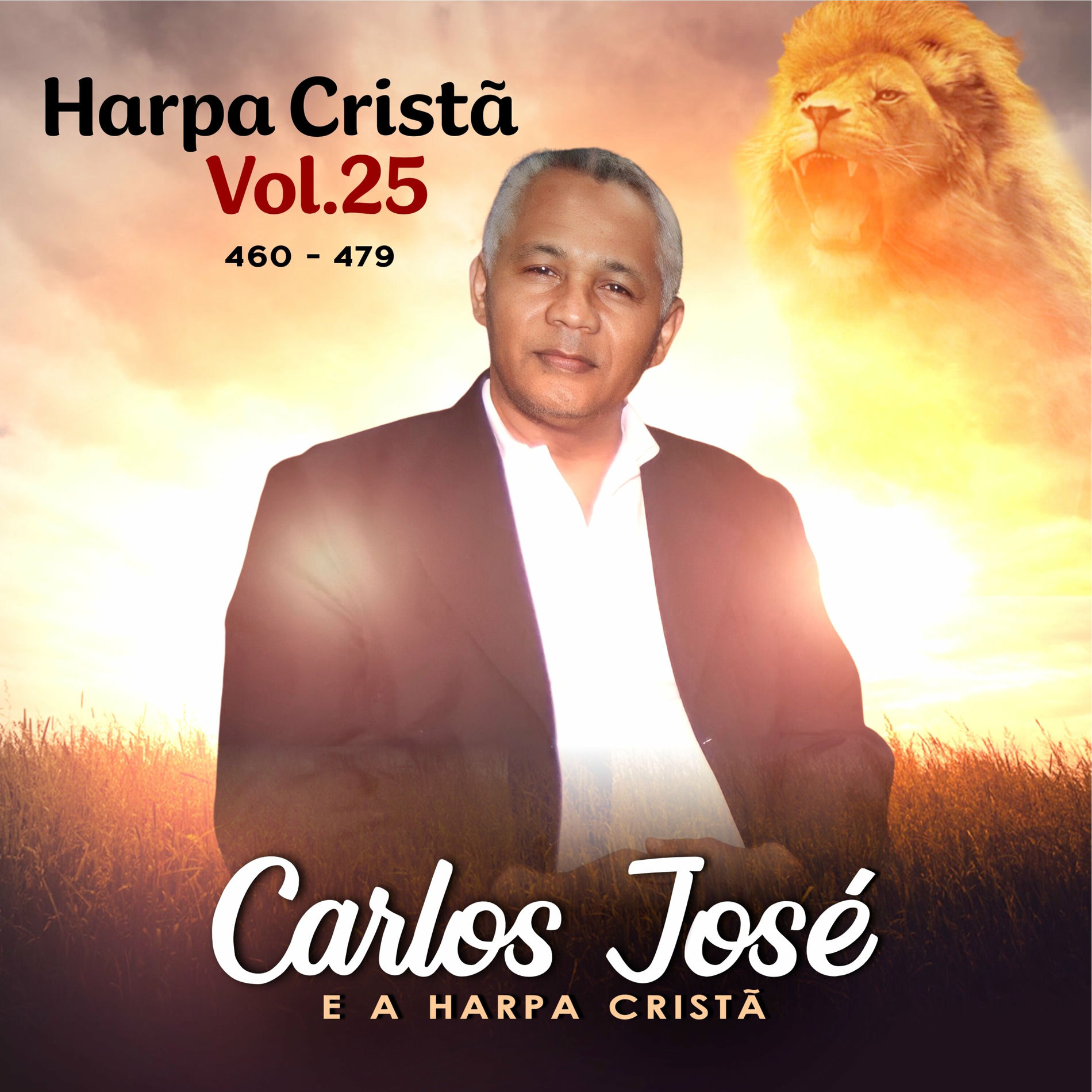 Album cover of Harpa Cristã Vol 25