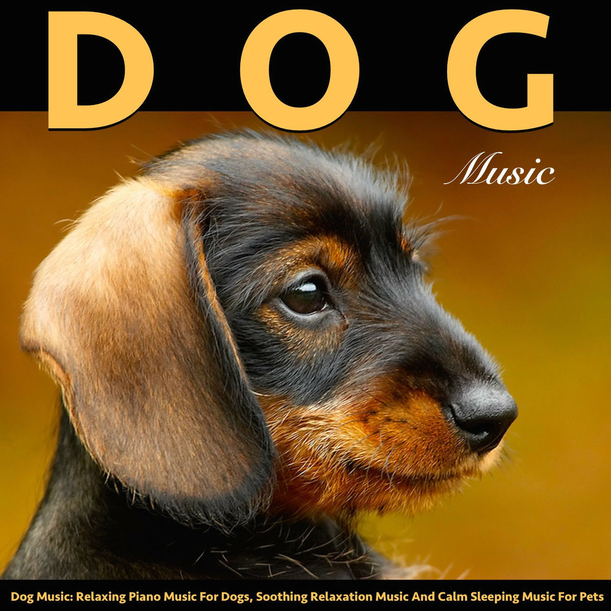 Album cover of Music for Dogs (Instrumental)