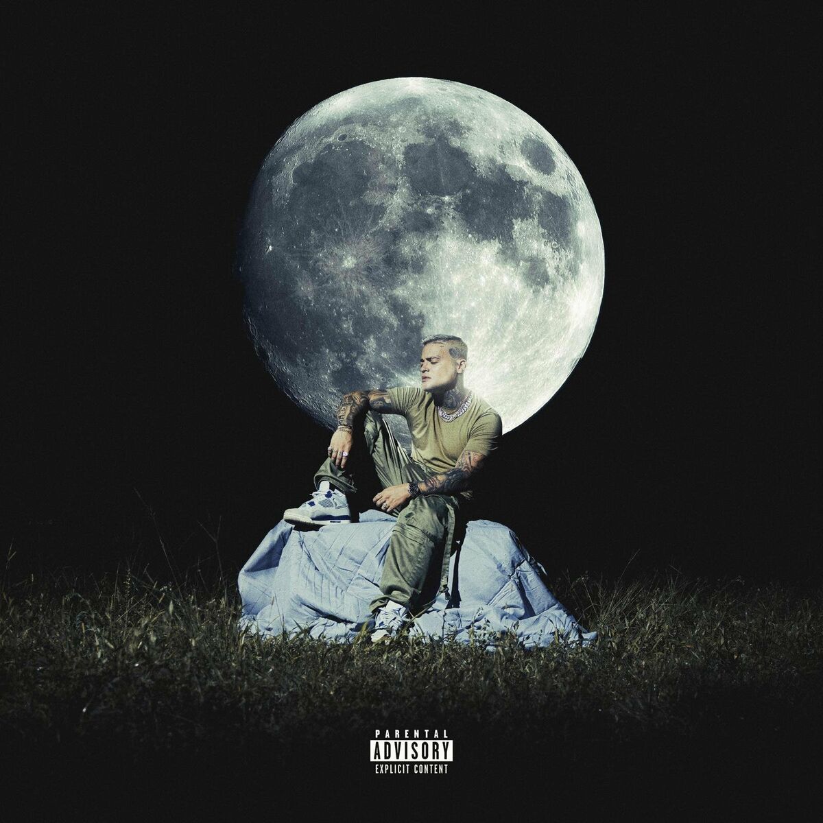 Album cover of LUNA