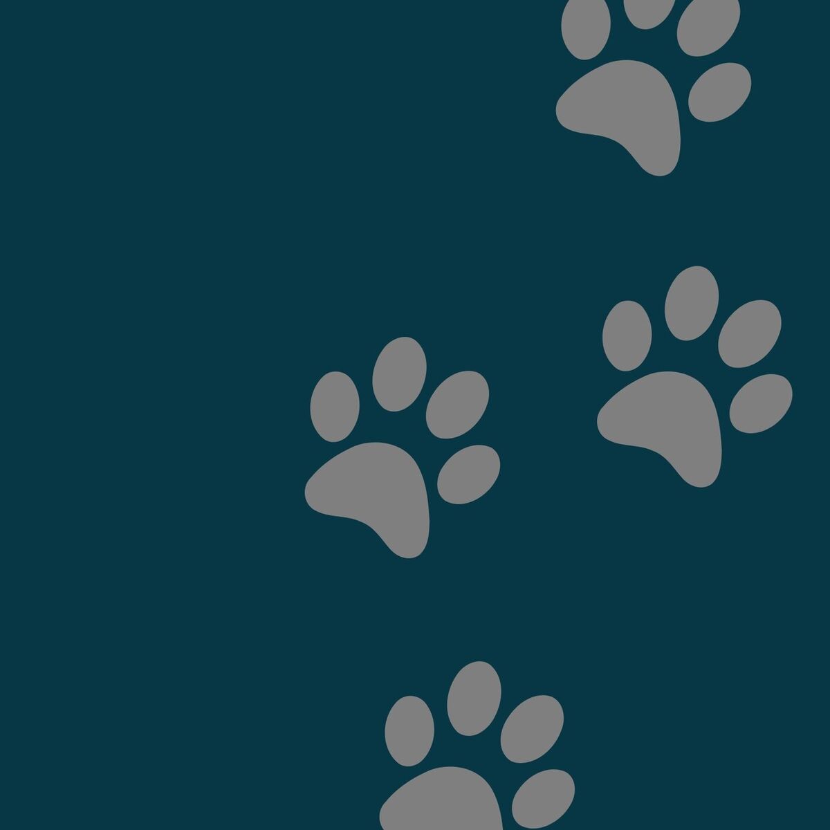 Album cover of Só para Animais