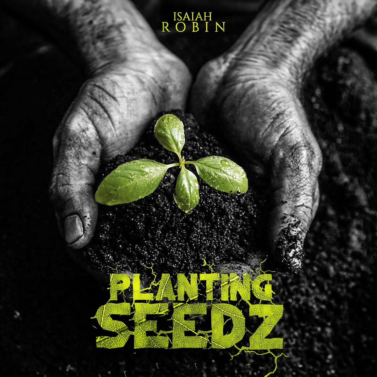 Album cover of Planting Seedz