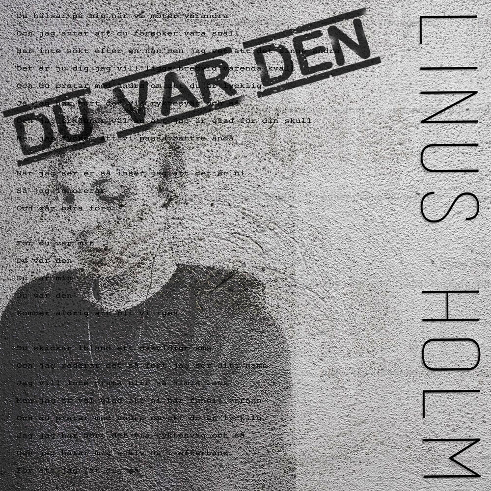 Picture of Du var den