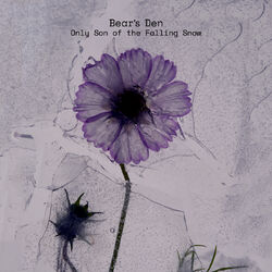 Cover of Only Son of the Falling Snow