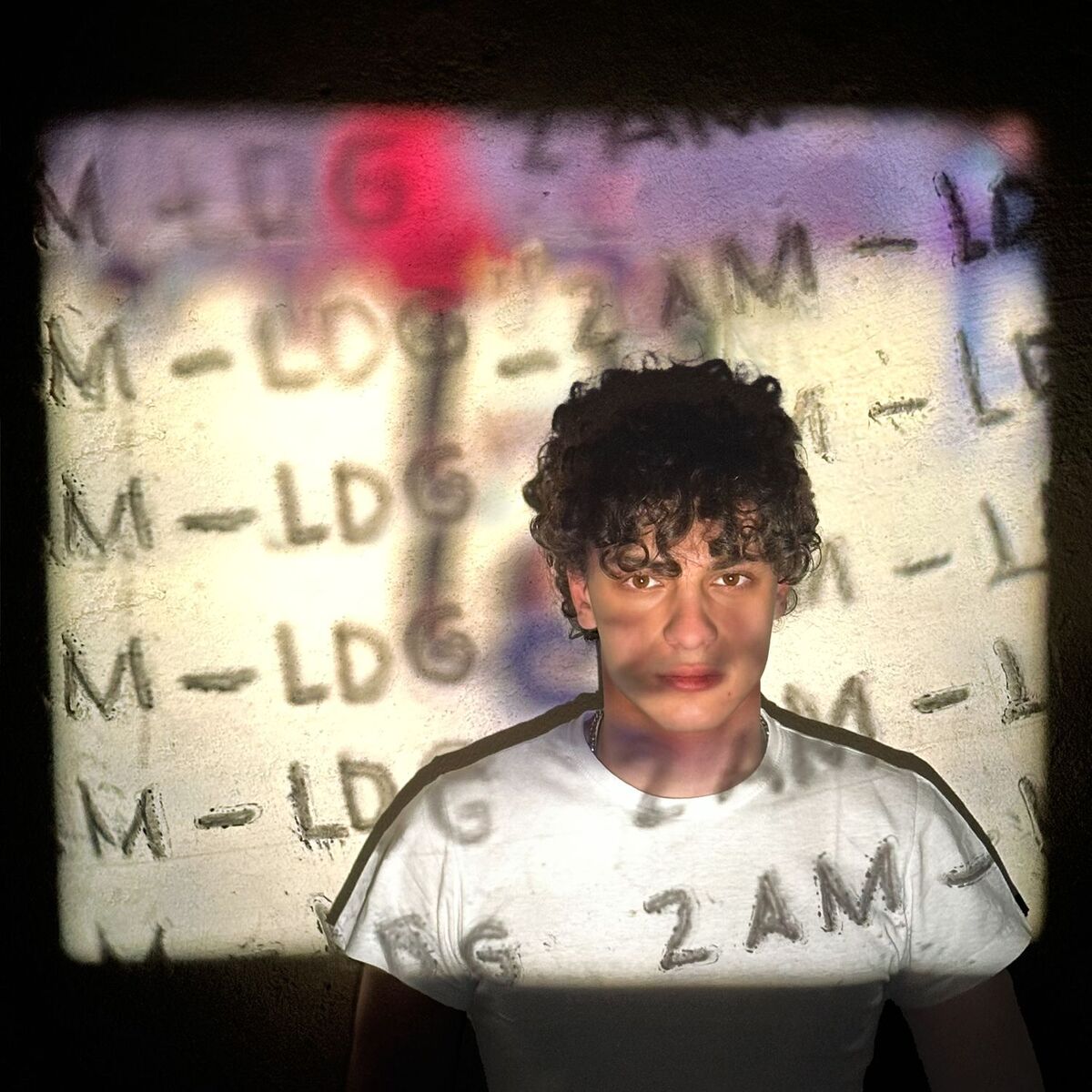 Album cover of 2 AM