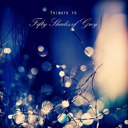Cover of Tribute to Fifty Shades of Grey: 50 Romantic and Erotic Piano Music, Sad Classical and Darker Sacred Music, Freed from Desire
