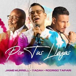 Cover of Por Tus Llagas
