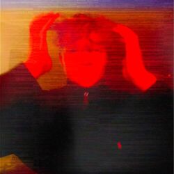 Cover of insomnia