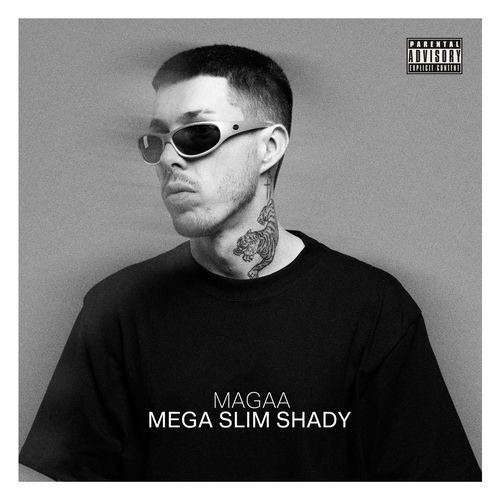 Mega Slim Shady