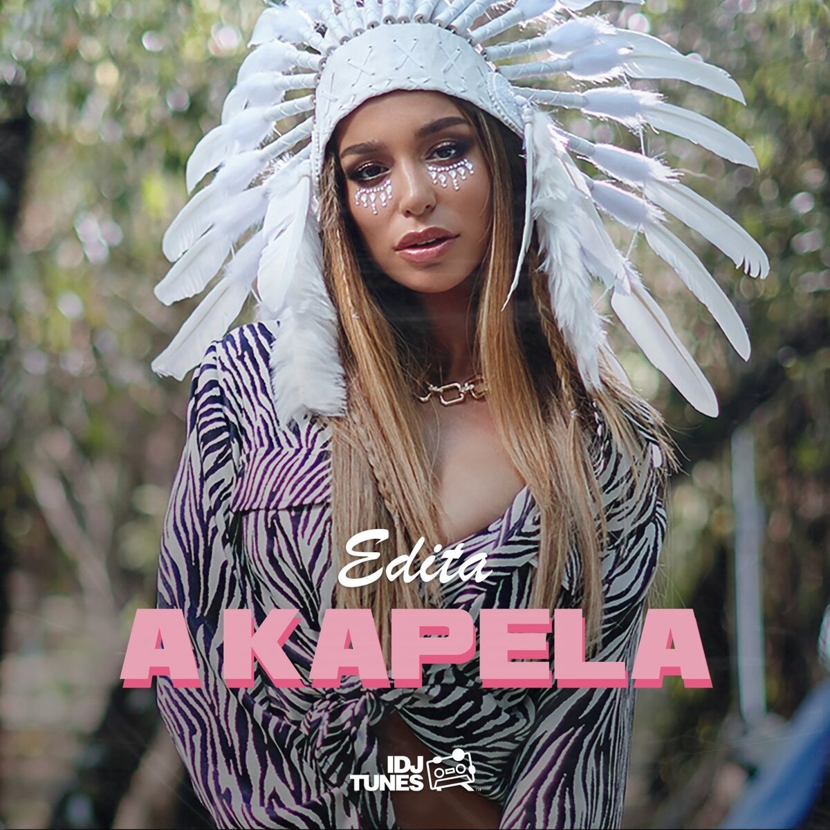 Album cover of A kapela