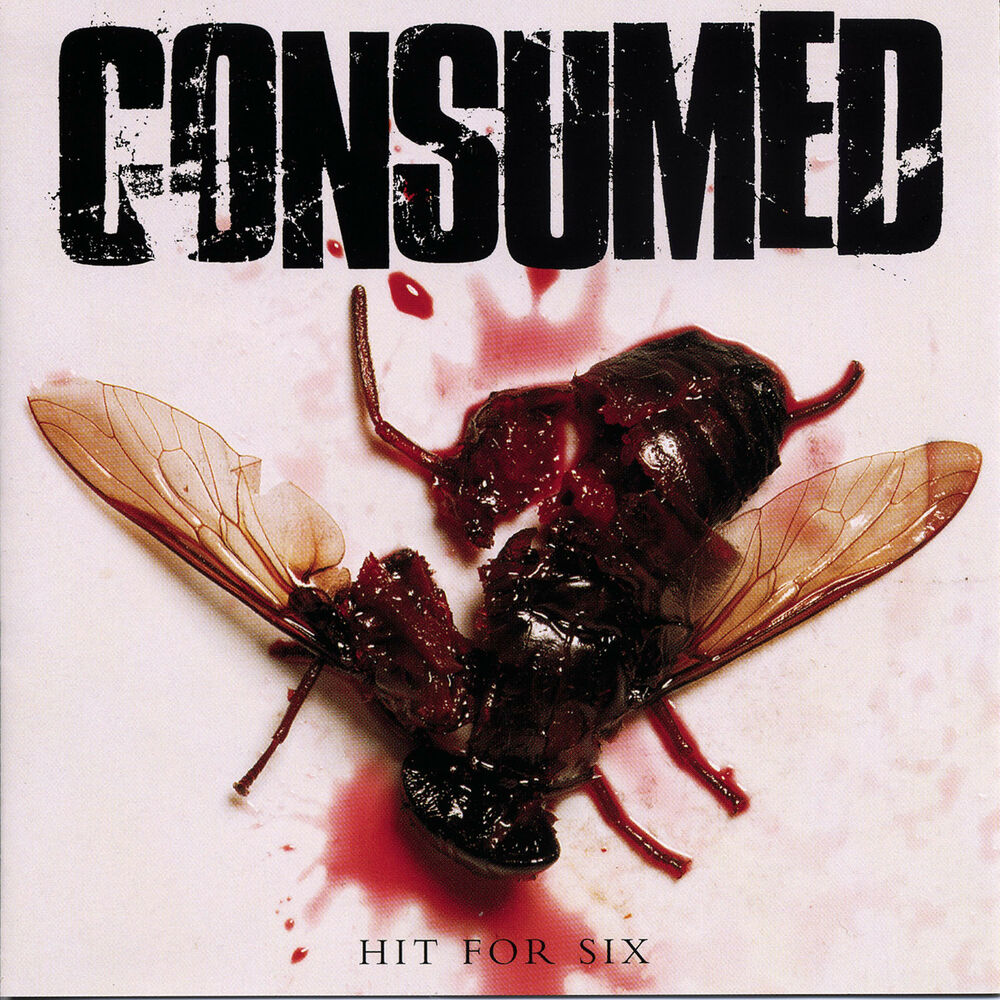 Picture of Hit for Six
