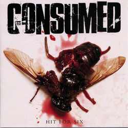 Cover of Hit for Six
