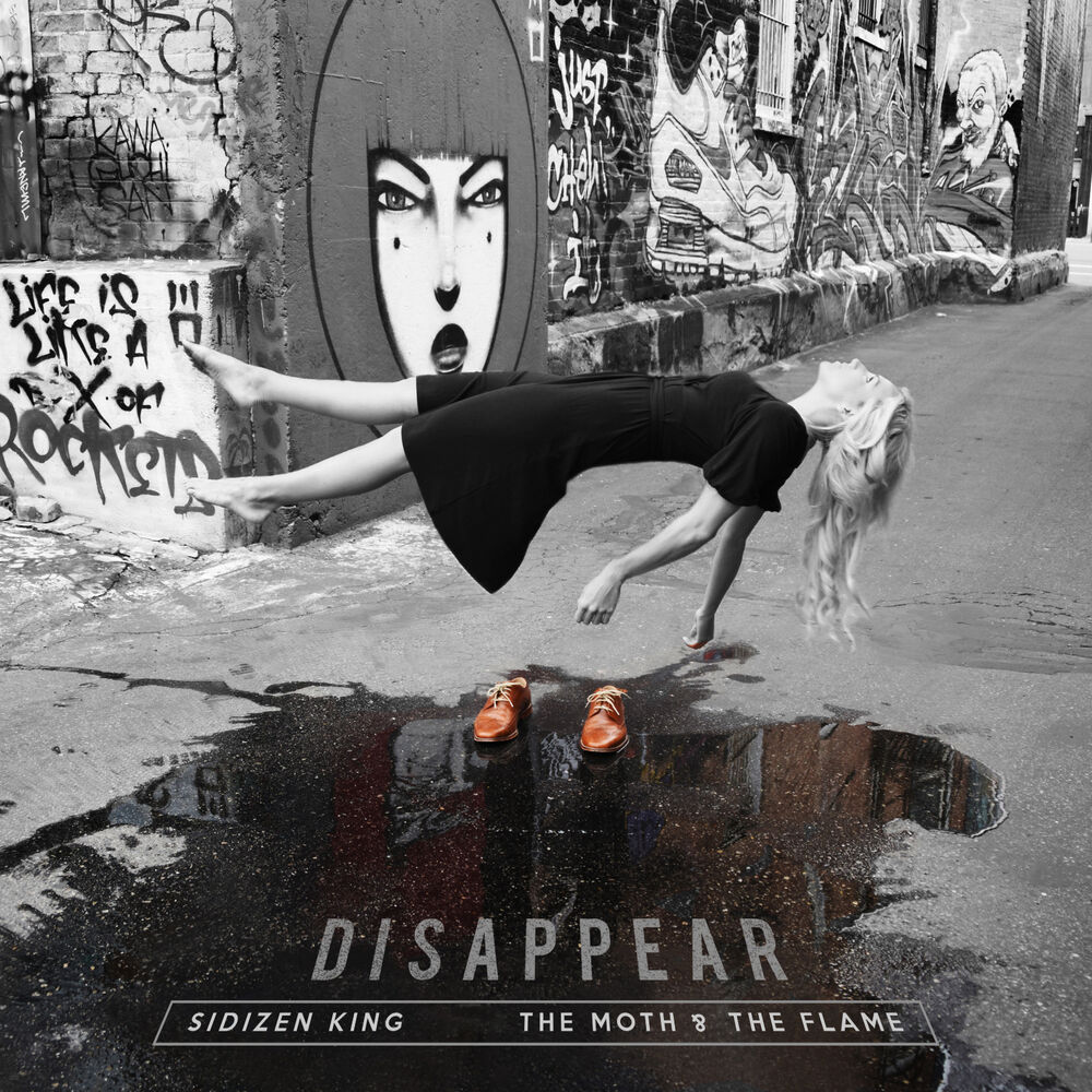Picture of Disappear