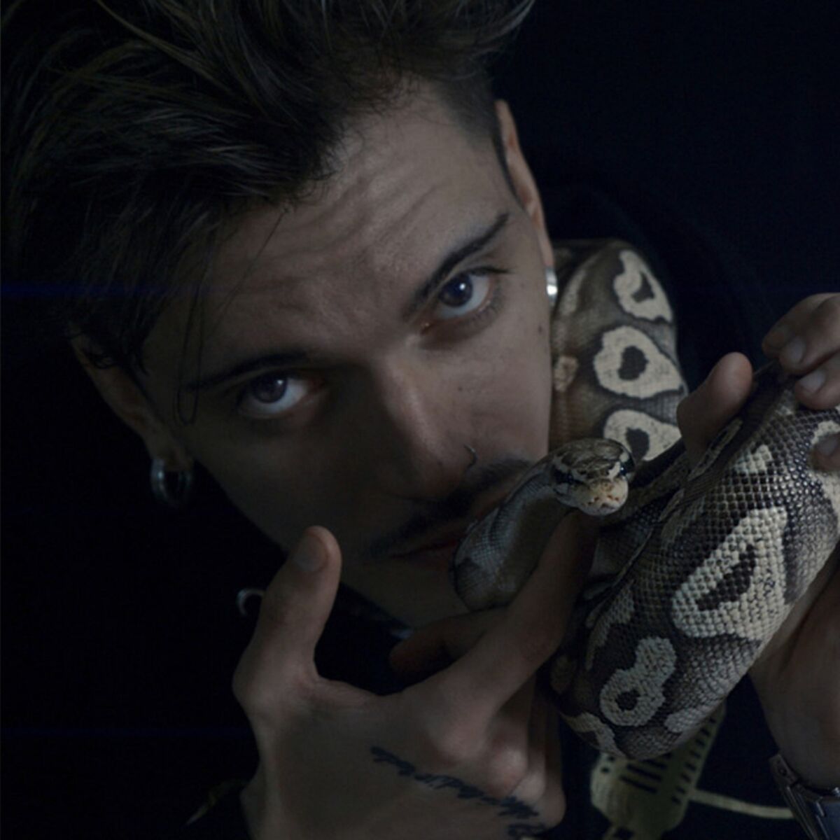 Album cover of Lengua de Serpiente