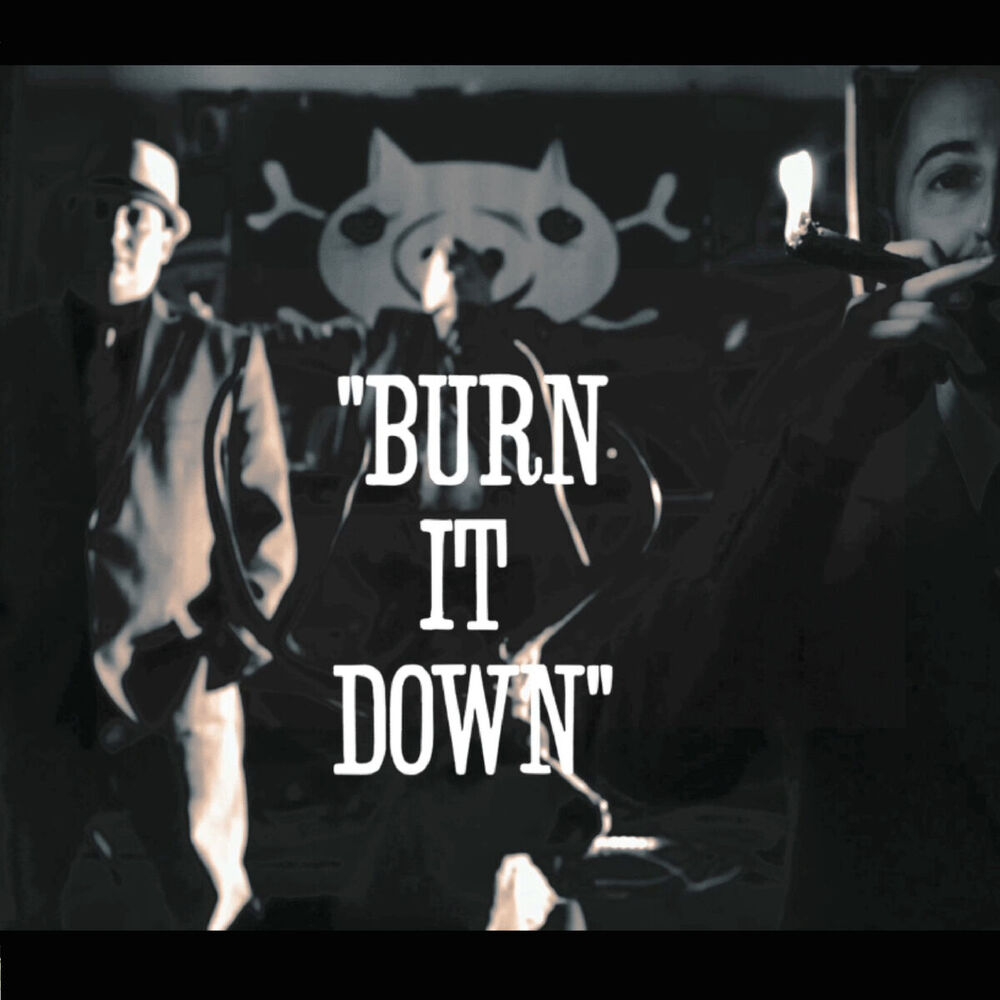 Picture of Burn It Down