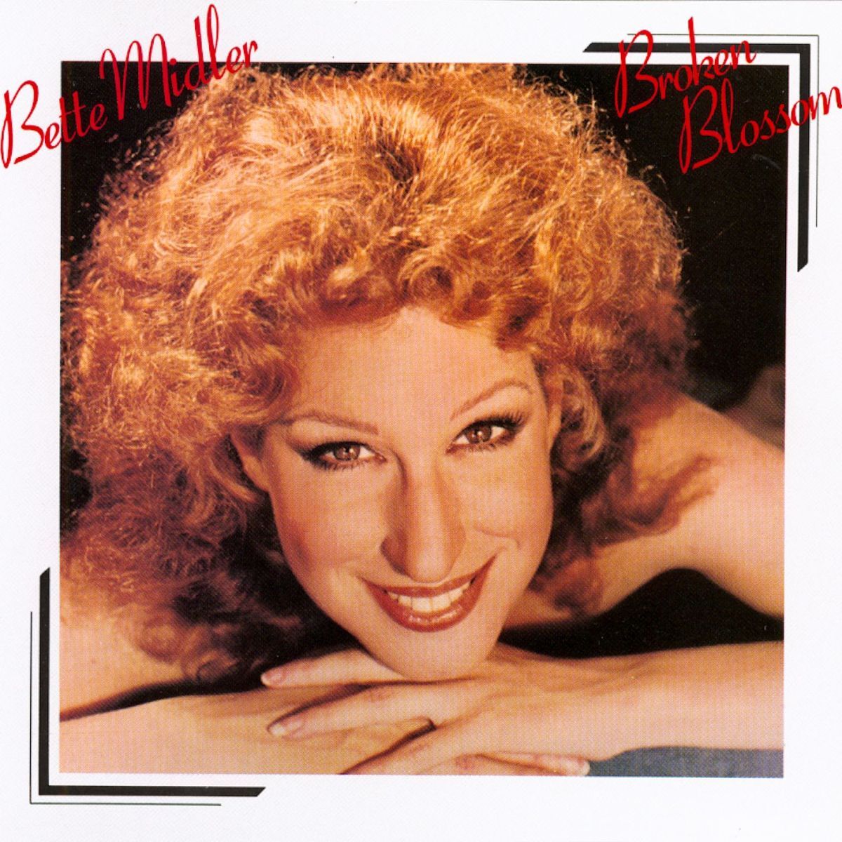 Album cover of Broken Blossom