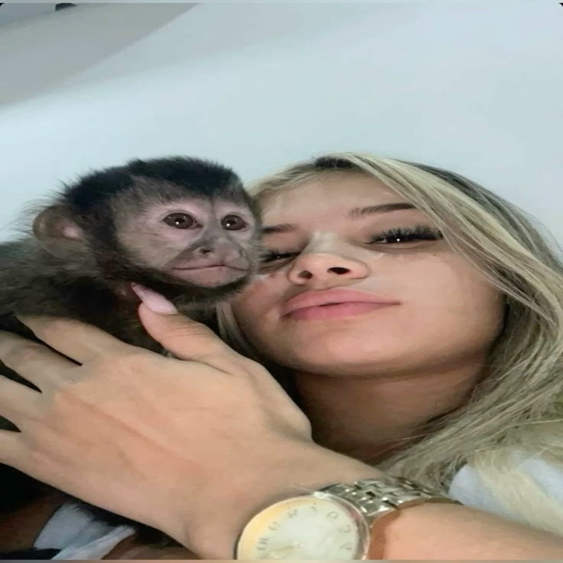 Album cover of LA LA LA X EM MENOS DE 10 SEGUNDOS