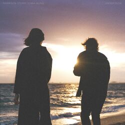 Cover of Under Dusk