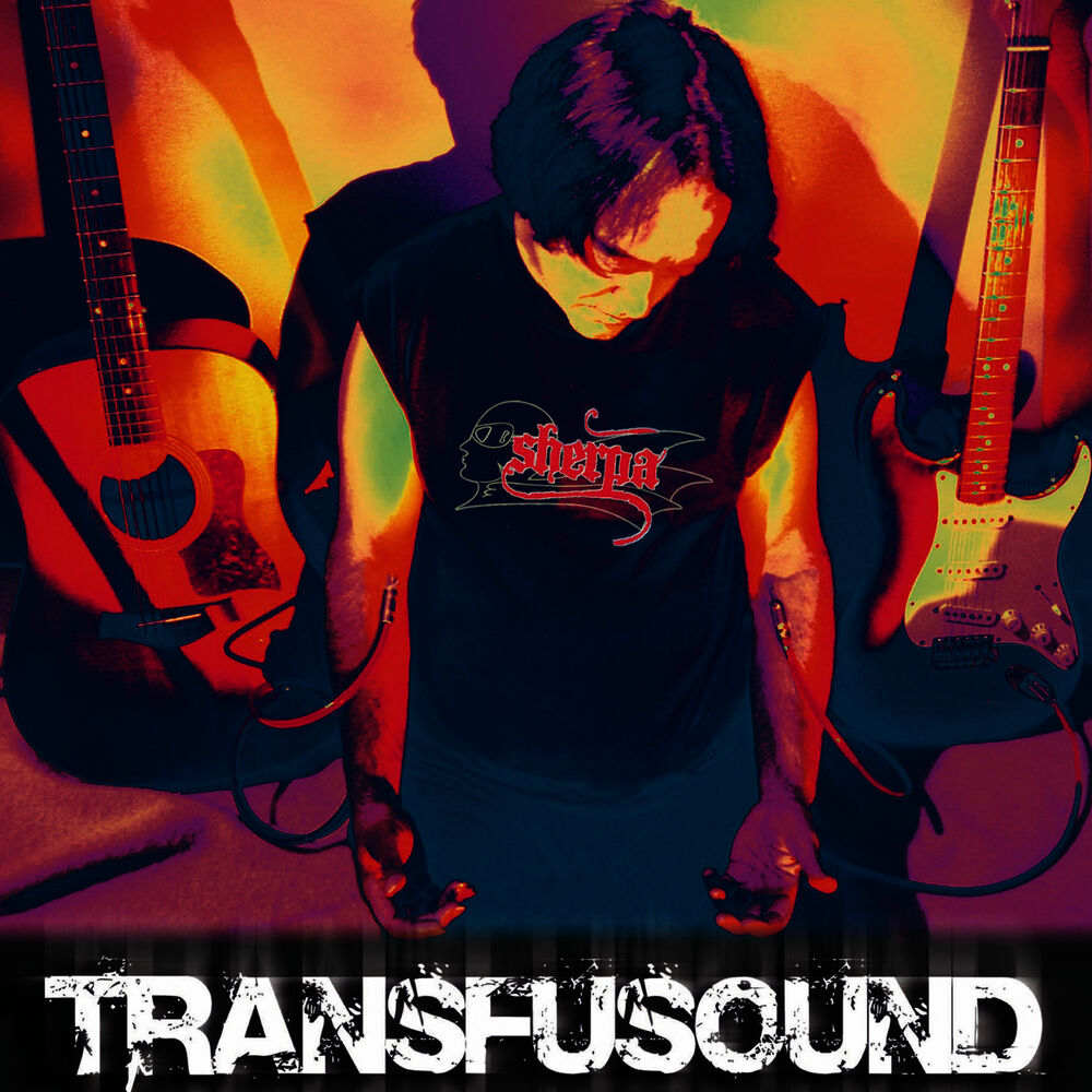 Picture of Transfusound