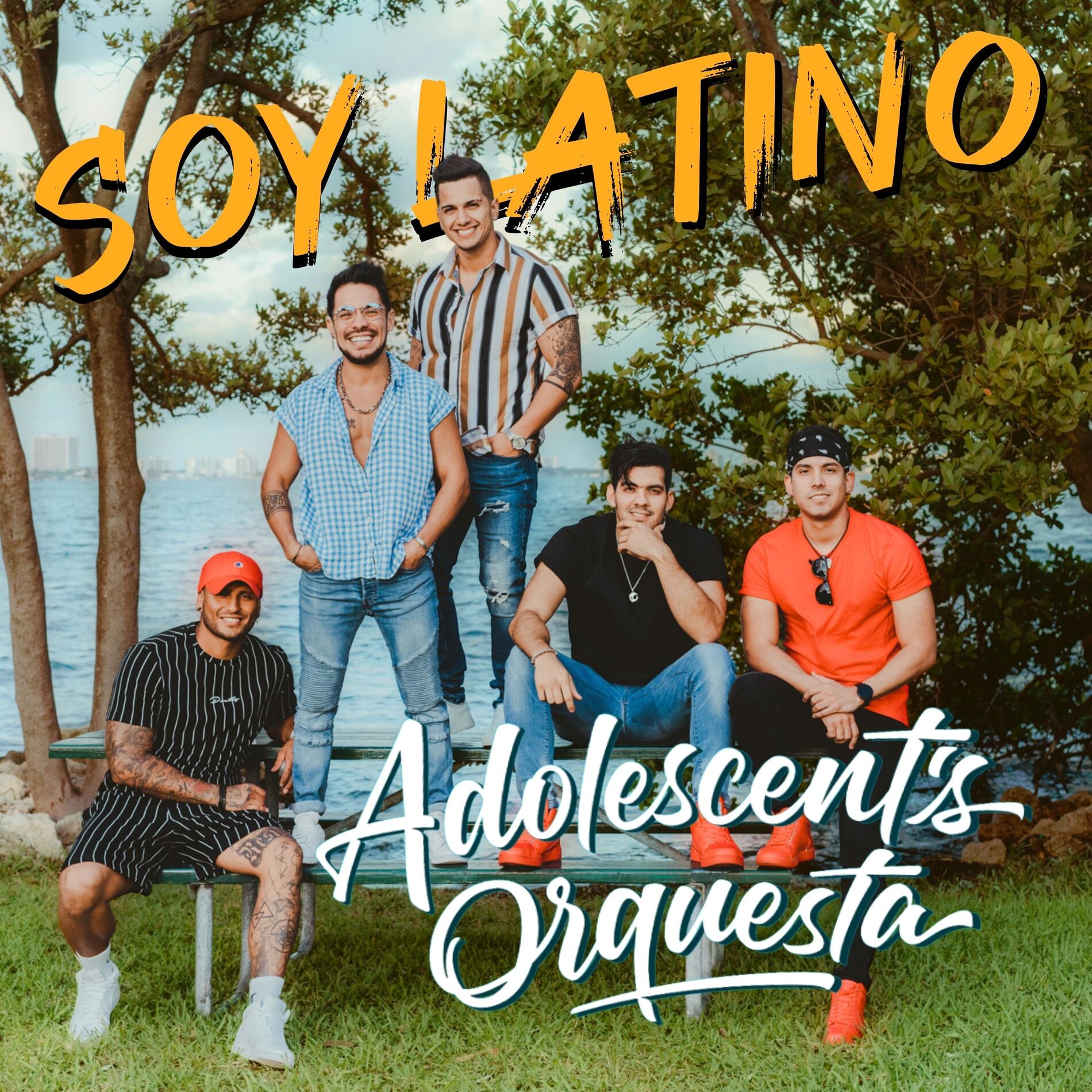 Album cover of Soy Latino