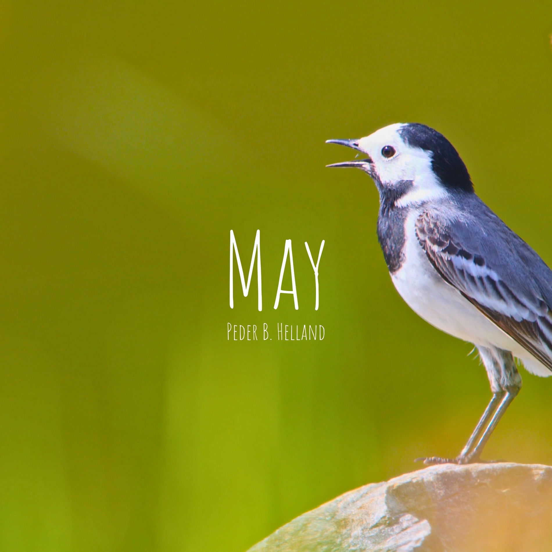 Album cover of May