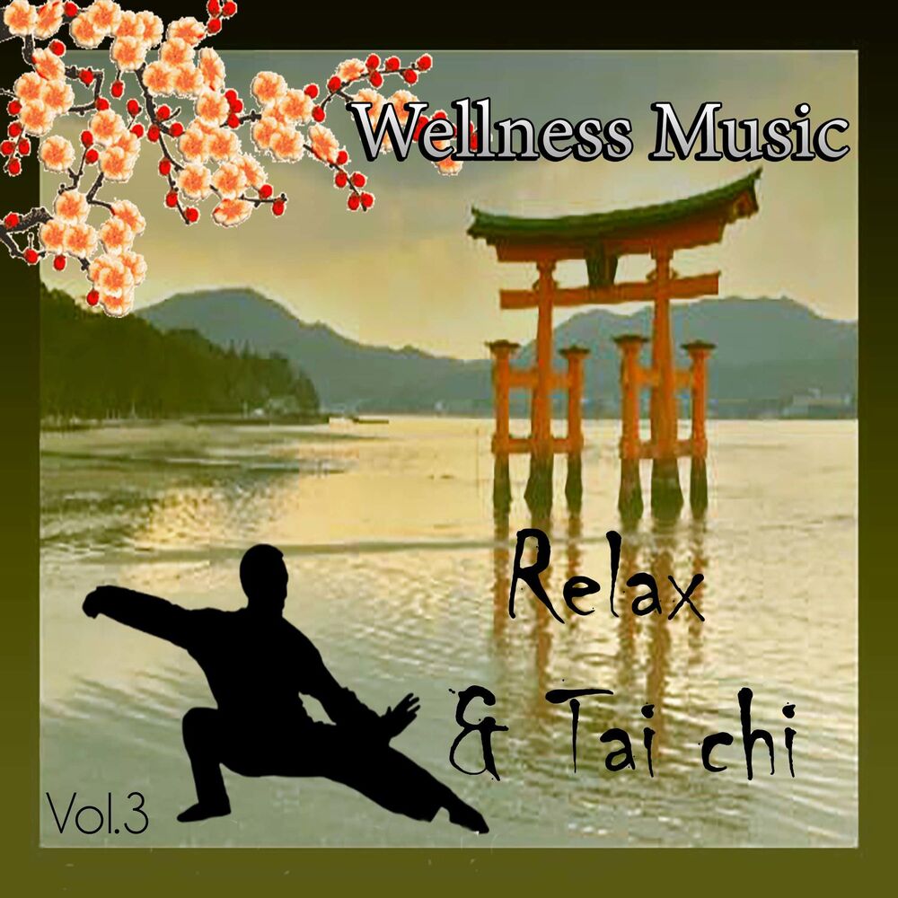 Picture of Wellness Music - Relax & Tai Chi, Vol. 3