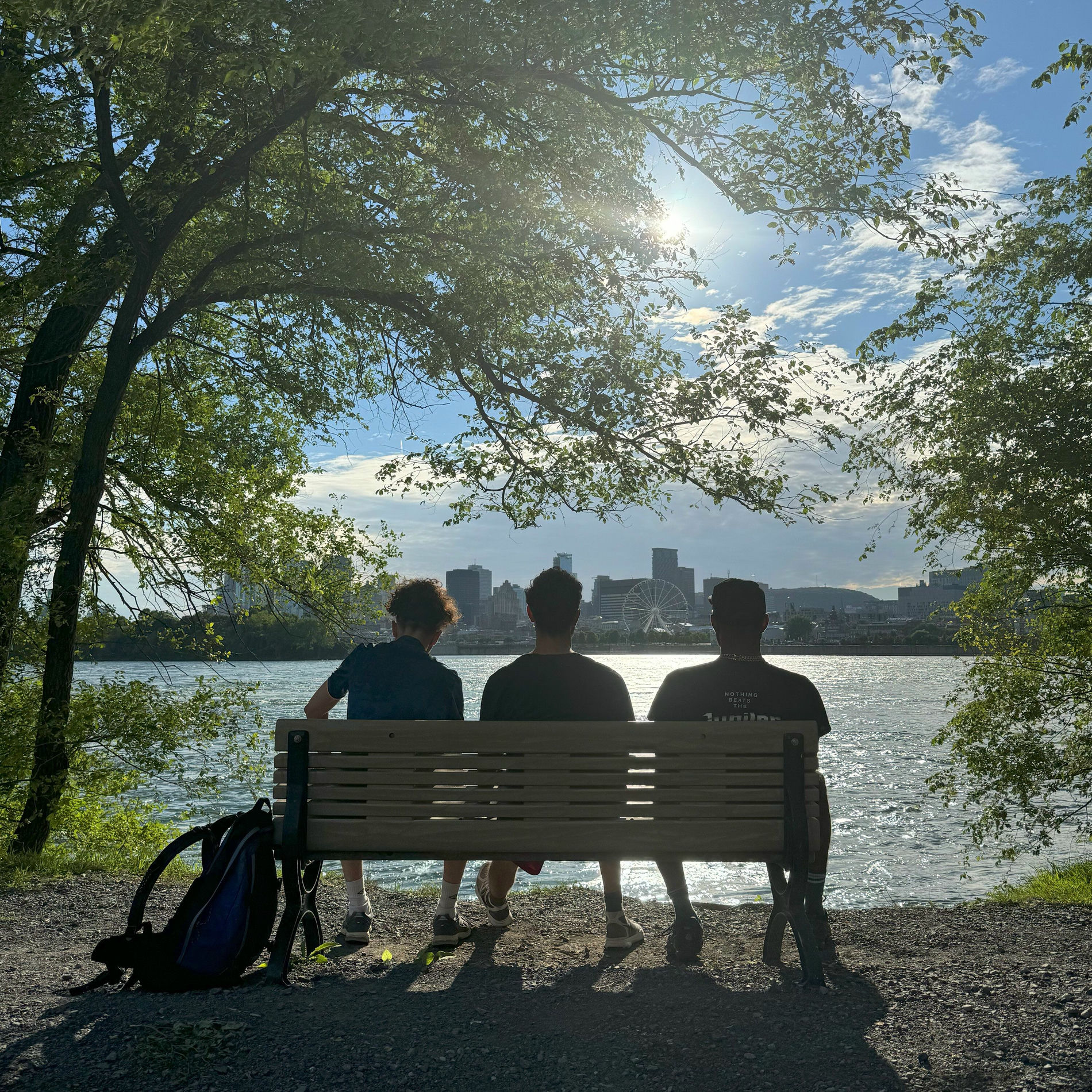 Album cover of À la folie, pas du tout