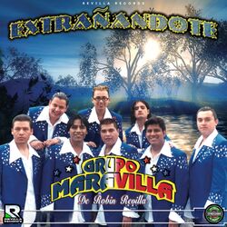 Cover of Extrañandote