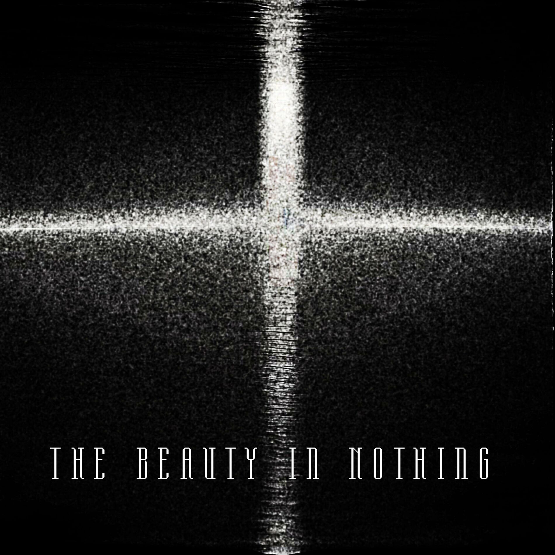 Album cover of The Beauty In Nothing