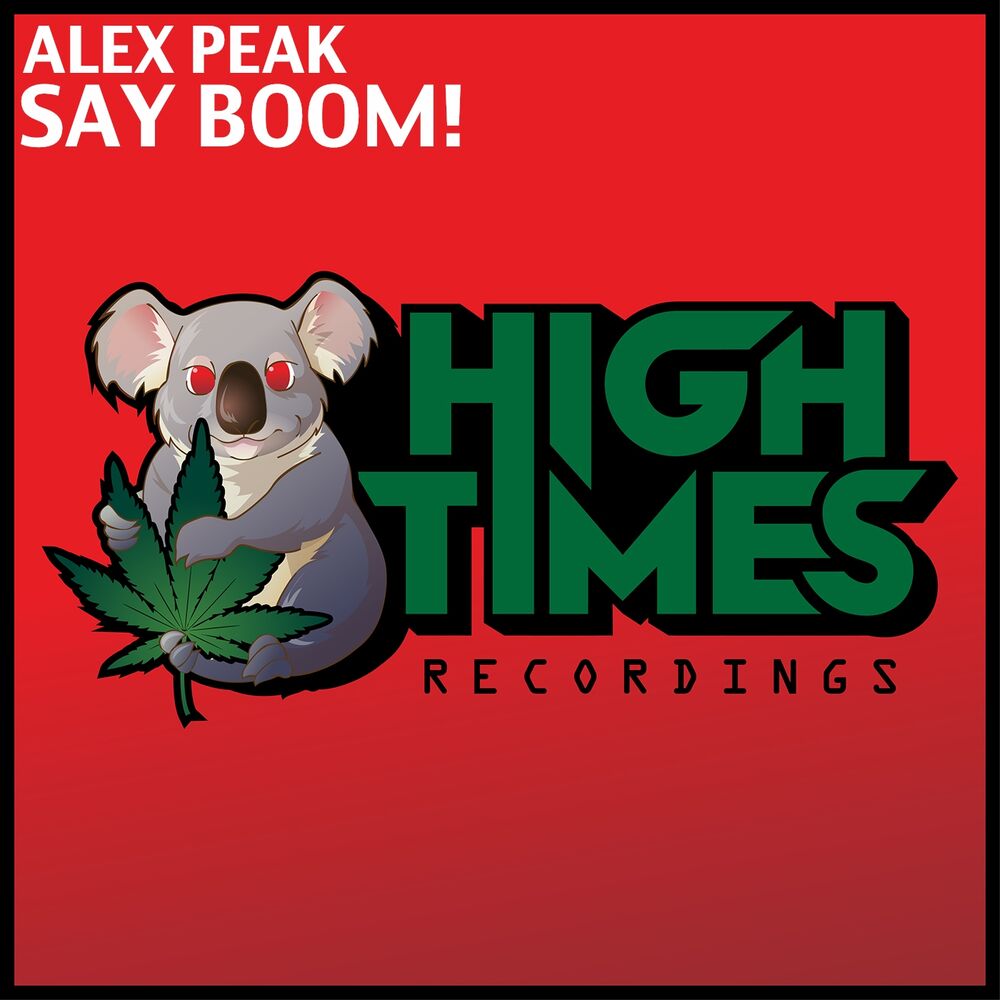 Picture of Say Boom!