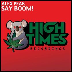 Cover of Say Boom!