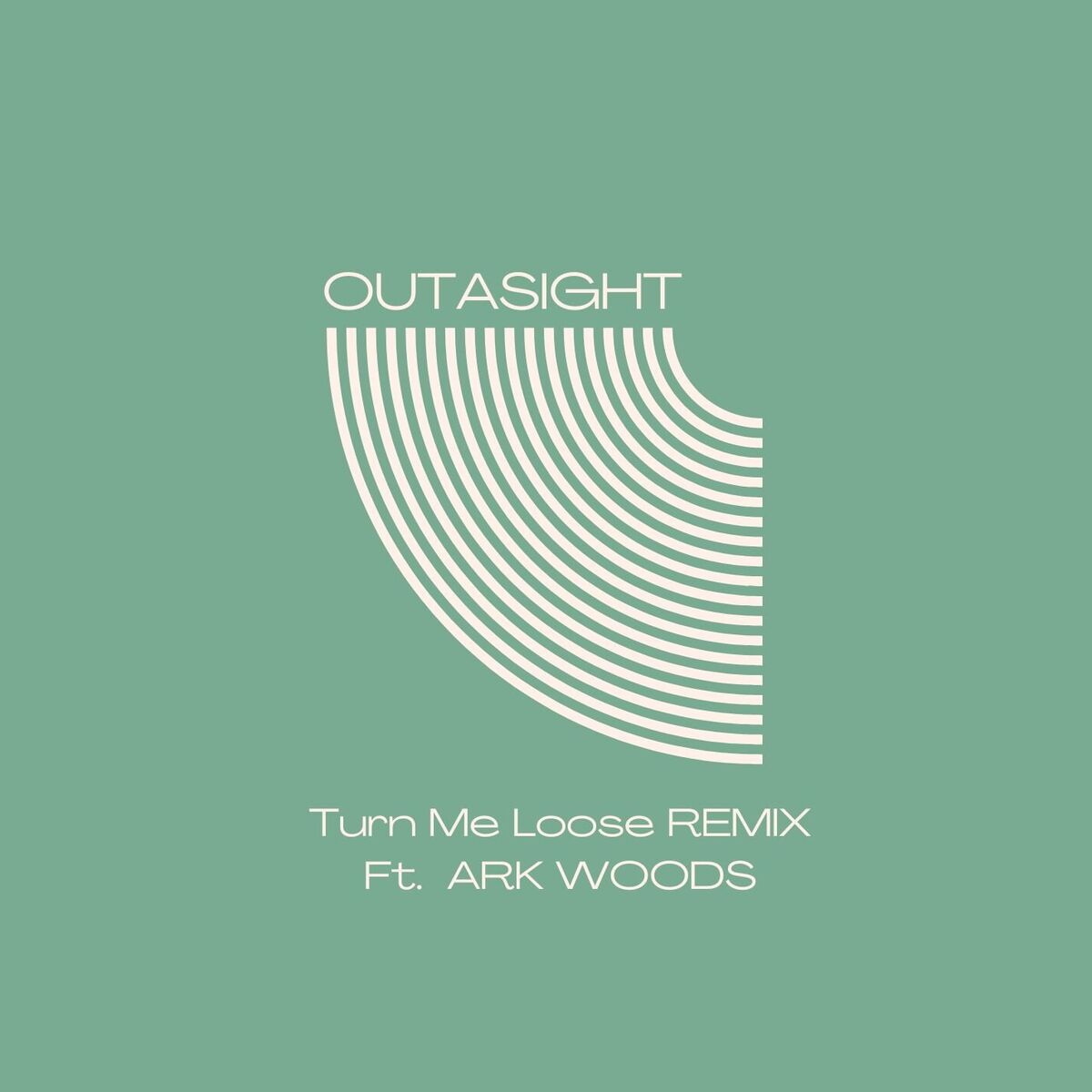 Album cover of Turn Me Loose Remix (feat. Ark Woods)