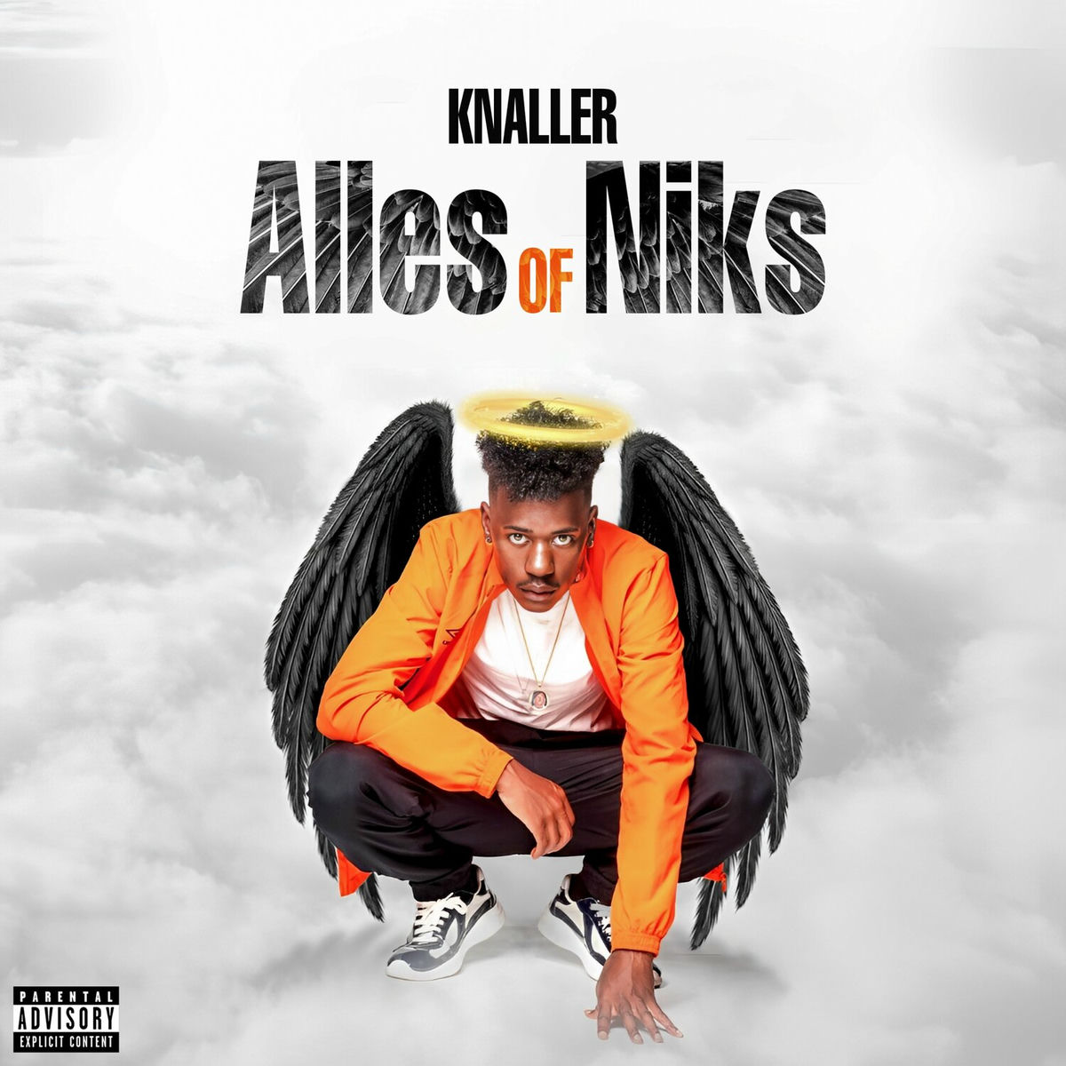 Album cover of Alles Of Niks
