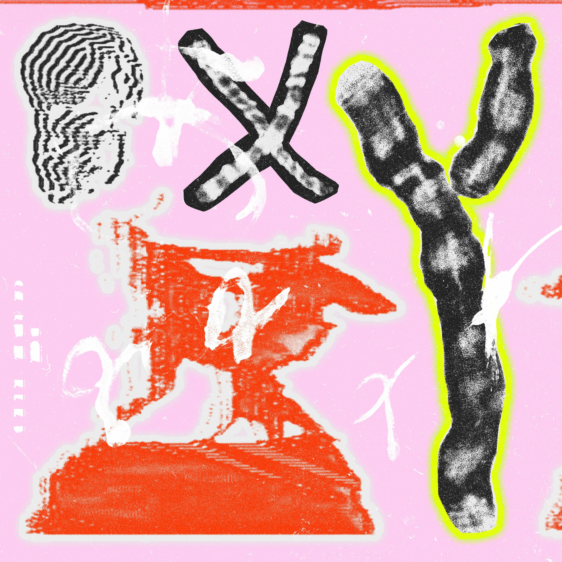 Album cover of XY