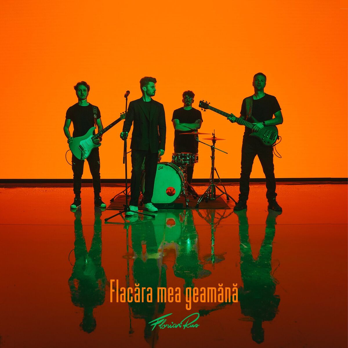 Album cover of Flacăra mea geamănă