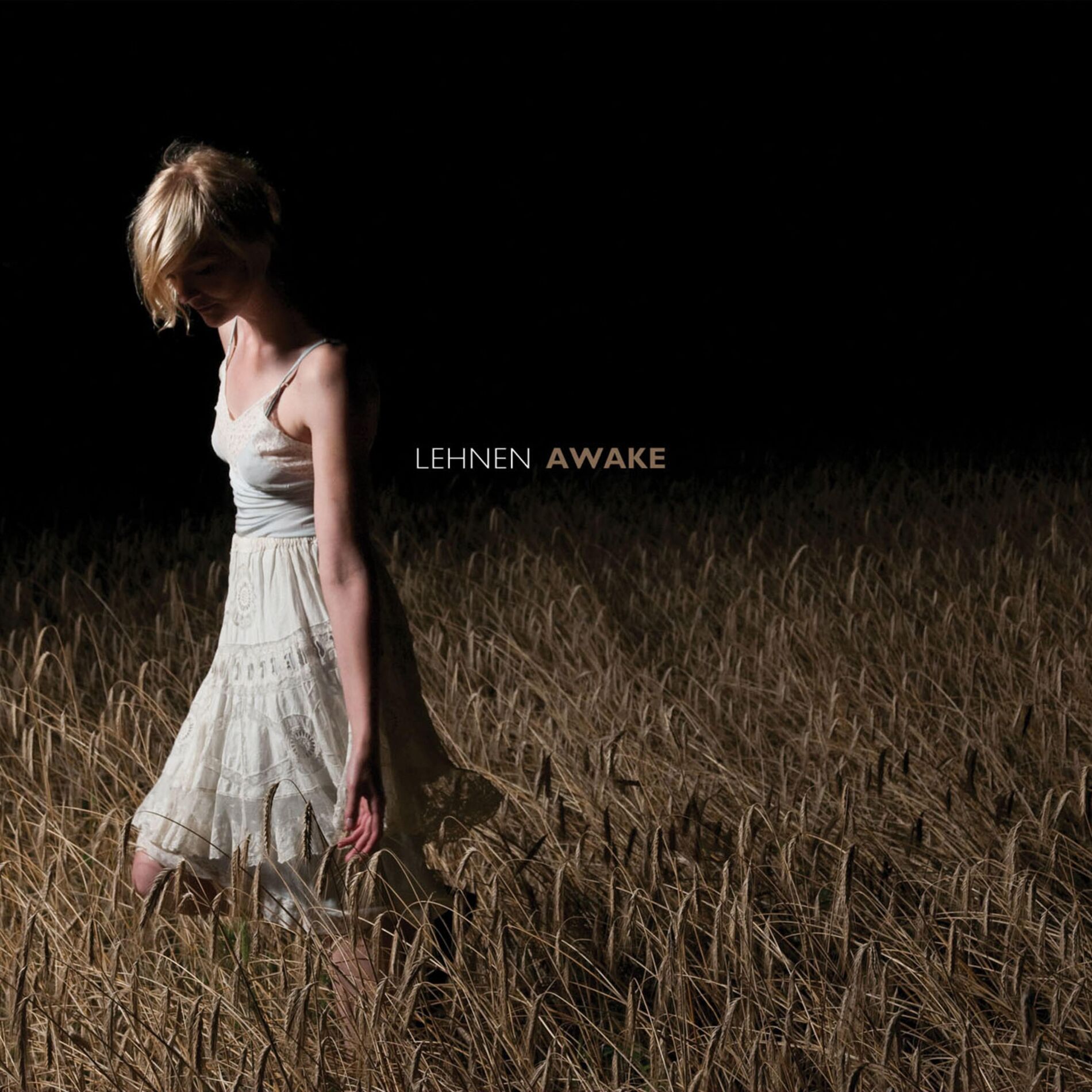 Album cover of Awake
