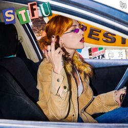 Cover of STFU