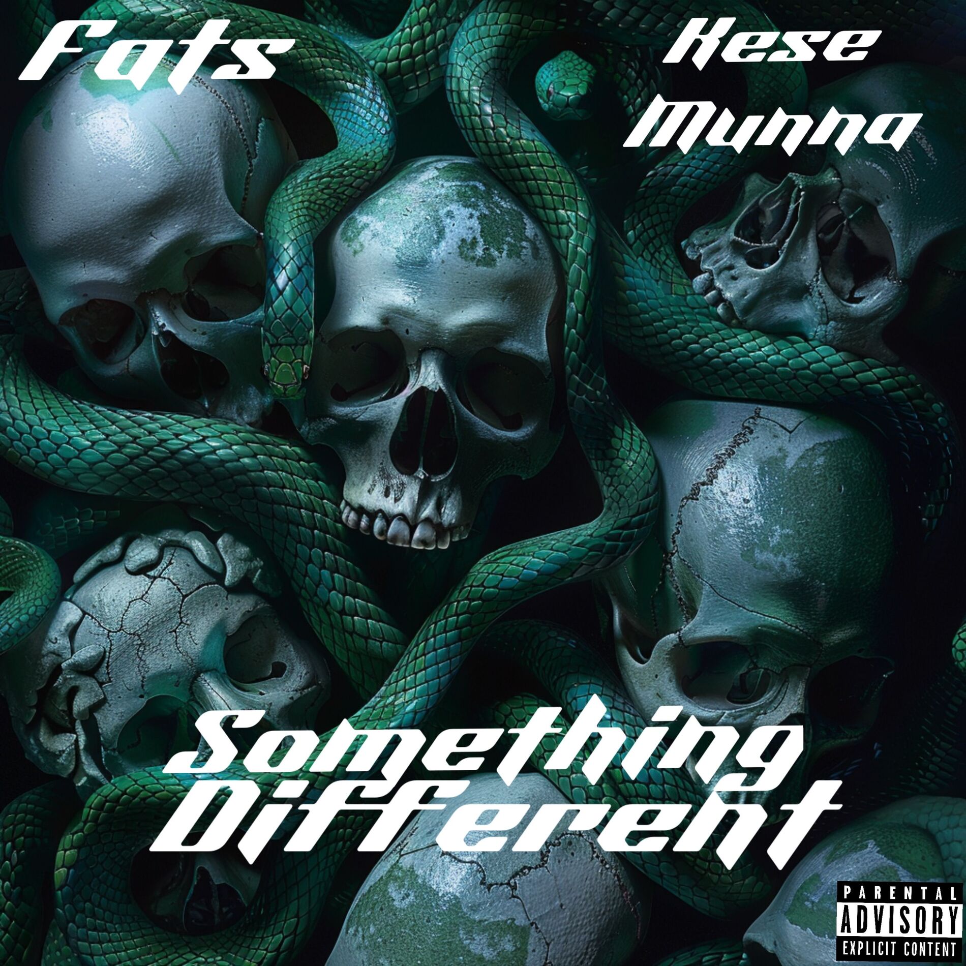 Album cover of Something Different