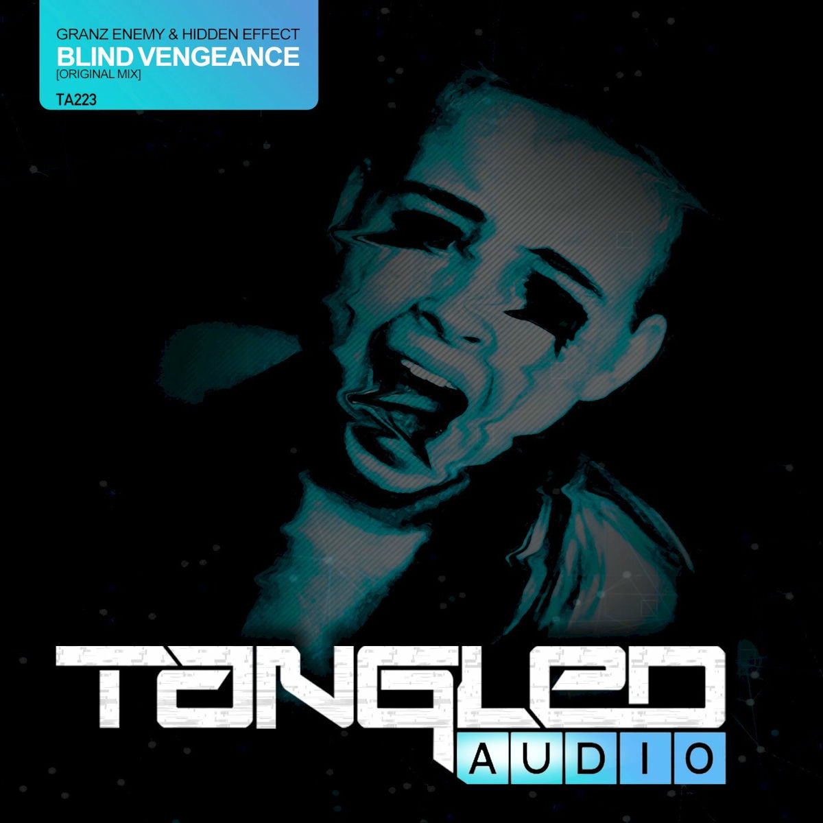 Album cover of Blind Vengeance