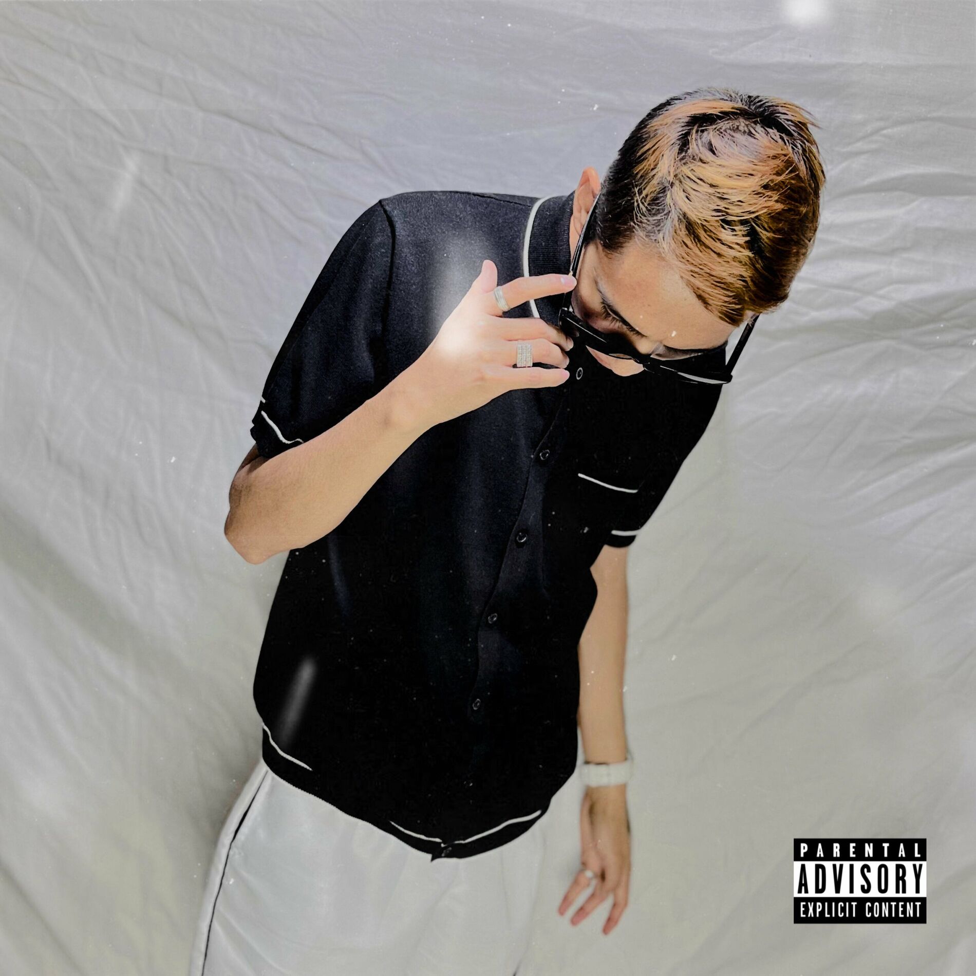 Album cover of The Real Fucking