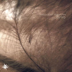 Cover of Relaxation Algorithm