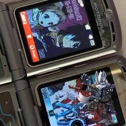 Cover of Flip Phone